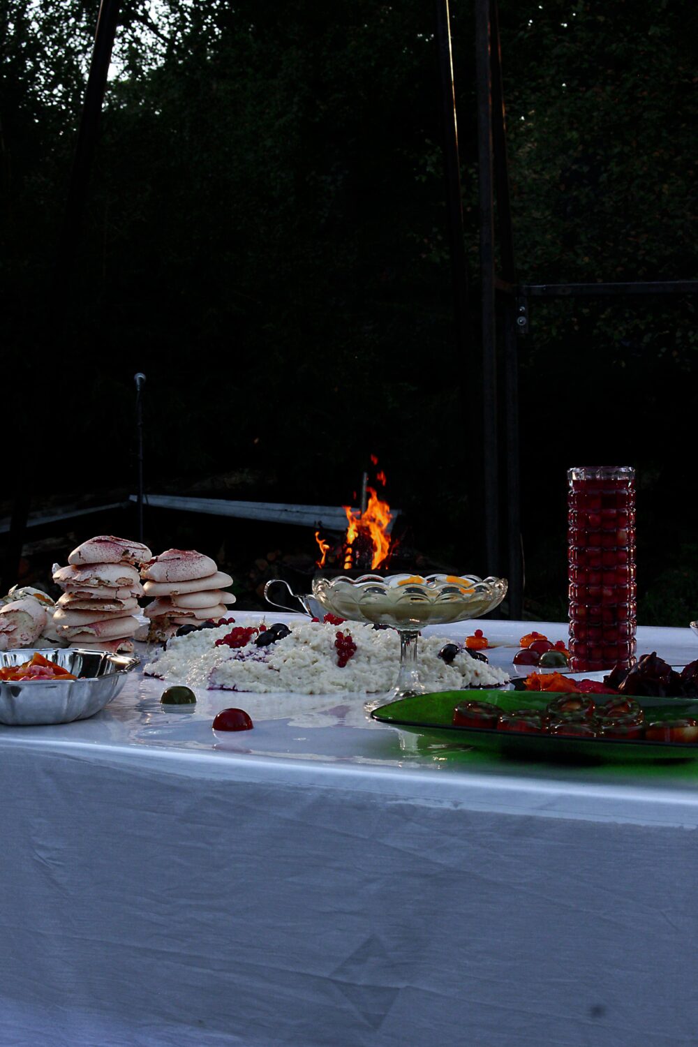 Foto van de circusvoorstelling “Des amoures chiennes aux amour-lichen” door Petra Ichor.