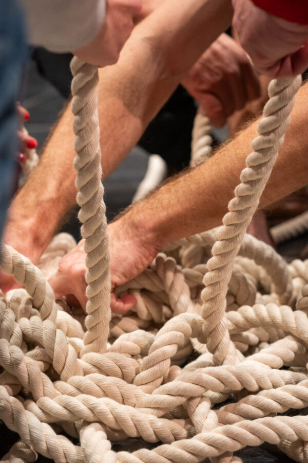 Photographie du spectacle de cirque participatif "WEB"